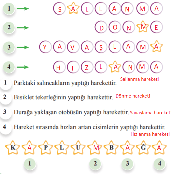 3. Sınıf Fen Bilimleri Anka Yayınevi Sayfa 52 Ders Kitabı Cevapları