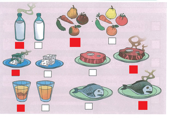 3. Sınıf Hayat Bilgisi Ders Kitabı Sayfa 82 Cevapları Dizin Yayınları 