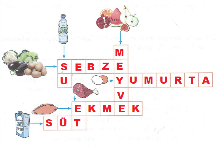 3. Sınıf Hayat Bilgisi Ders Kitabı Sayfa 96 Cevapları Dizin Yayınları 1