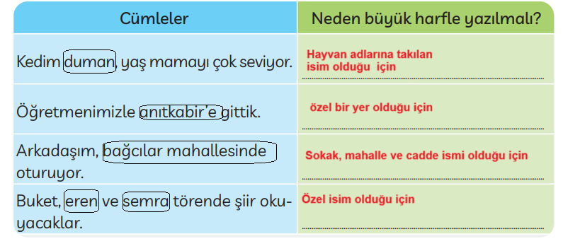 2. Sınıf Türkçe Ders Kitabı Sayfa 30 Cevapları MEB Yayınları