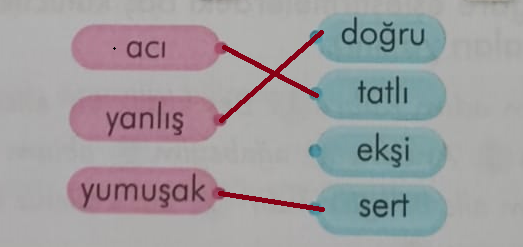 2. Sınıf Türkçe Ders Kitabı Sayfa 48 Cevapları İlke Yayıncılık