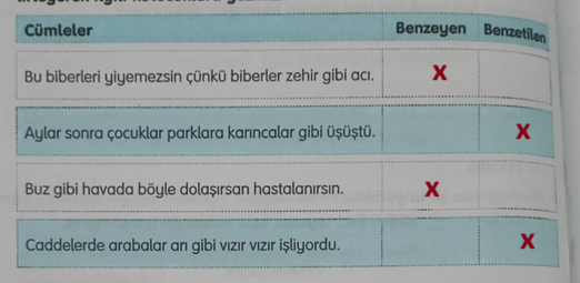 4. Sınıf Türkçe Ders Kitabı Sayfa 28 Cevapları TUNA Yayınları