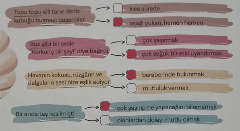 5. Sınıf Türkçe Ders Kitabı Sayfa 14 Cevapları MEB Yayınları