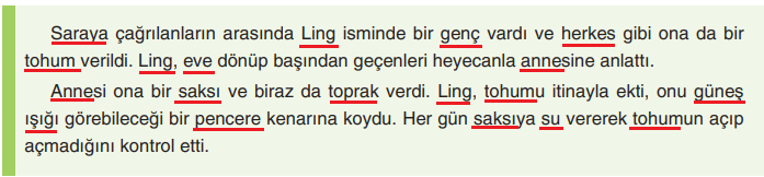 6. Sınıf Türkçe Ders Kitabı Sayfa 31 Cevapları Yıldırım Yayınları