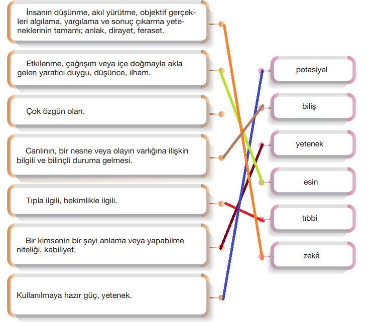 7.  Sınıf Türkçe Ders Kitabı Sayfa 34 Cevapları Özgün Yayınları