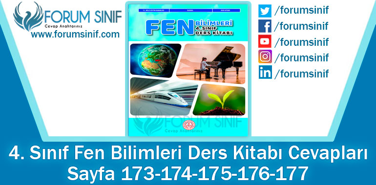 4. Sınıf Fen Bilimleri Ders Kitabı 173-174-175-176-177. Sayfa Cevapları MEB Yayınları