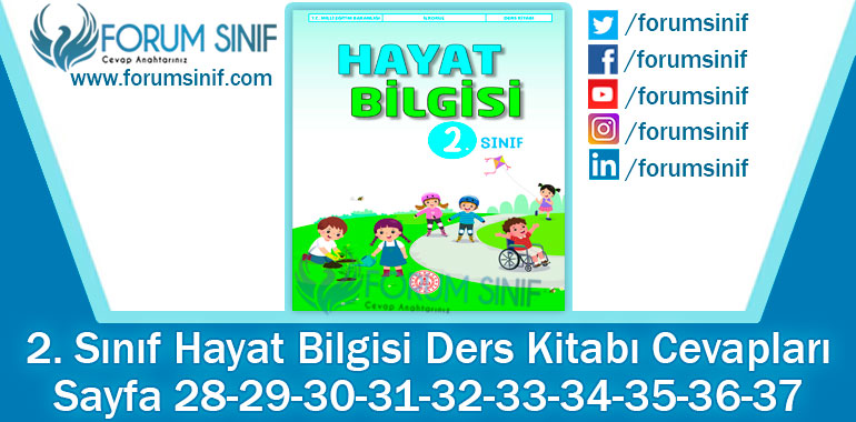 2. Sınıf Hayat Bilgisi Ders Kitabı 28-29-30-31-32-33-34-35-36-37. Sayfa Cevapları MEB Yayınları