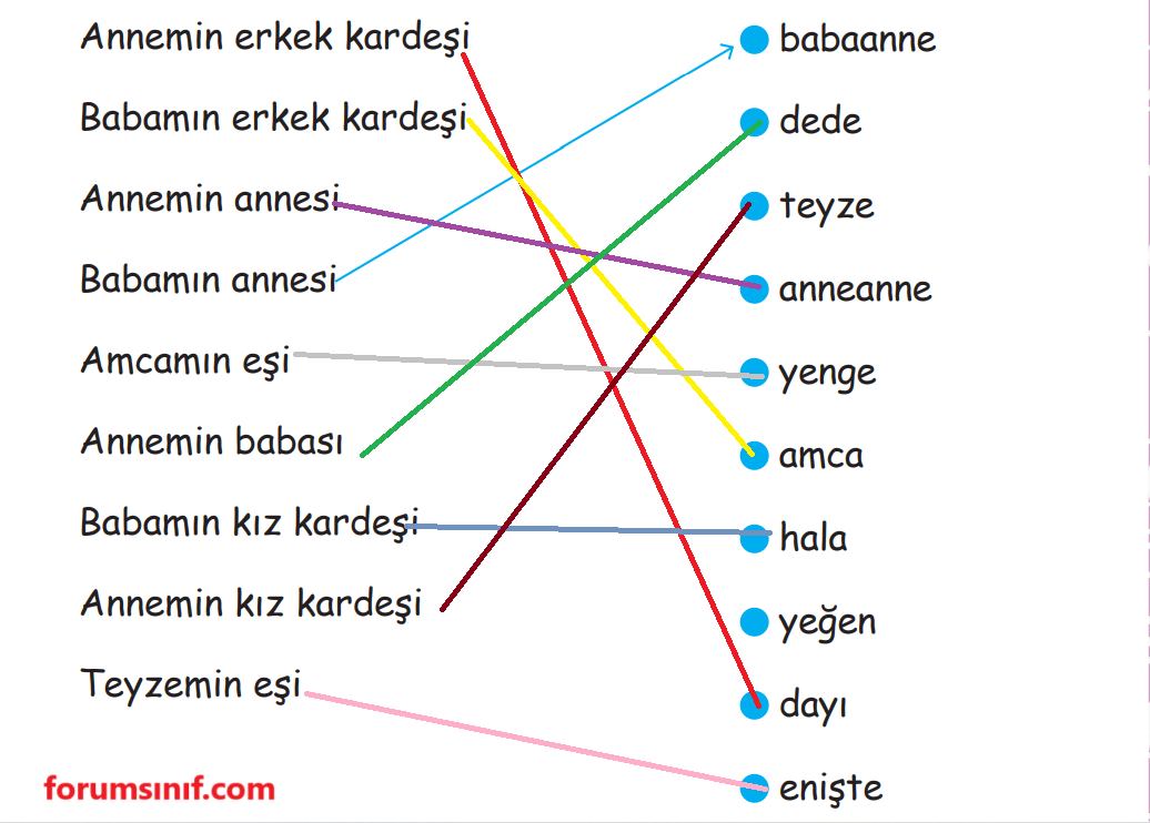 2. Sınıf Hayat Bilgisi Ders Kitabı Sayfa 101 Cevapları MEB Yayınları