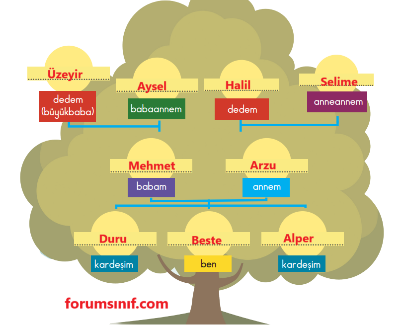 2. Sınıf Hayat Bilgisi Ders Kitabı Sayfa 67 Cevapları MEB Yayınları