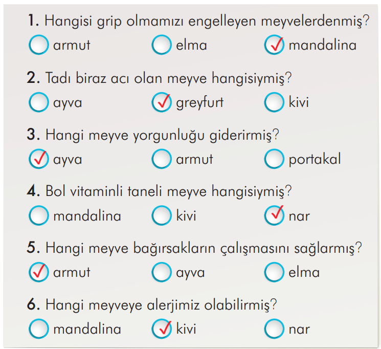 2. Sınıf Türkçe Ders Kitabı Sayfa 102 Cevapları İlke Yayıncılık