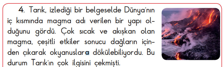 3. Sınıf Fen Bilimleri Ders Kitabı Sayfa 32 Cevapları SDR Dikey Yayıncılık