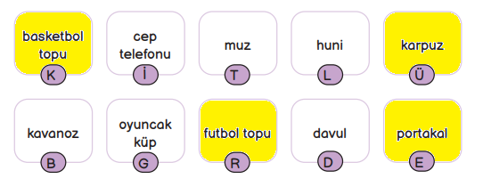 3. Sınıf Fen Bilimleri Ders Kitabı Sayfa 38 Cevapları MEB Yayınları