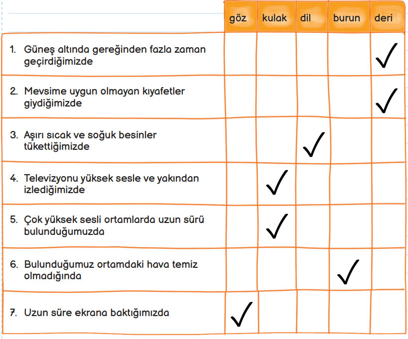 3. Sınıf Fen Bilimleri Ders Kitabı Sayfa 60 Cevapları MEB Yayınları