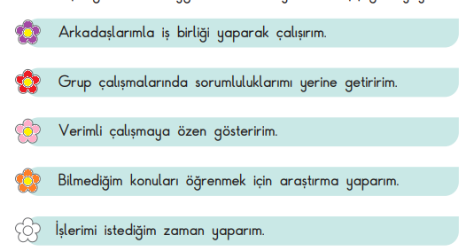 3. Sınıf Hayat Bilgisi Ders Kitabı Sayfa 17 Cevapları SDR İpekyolu Yayıncılık