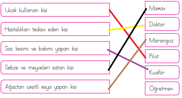 3. Sınıf Hayat Bilgisi Ders Kitabı Sayfa 43 Cevapları MEB Yayınları2