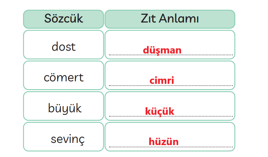 3. Sınıf Türkçe Ders Kitabı Sayfa 115 Cevapları MEB Yayınları