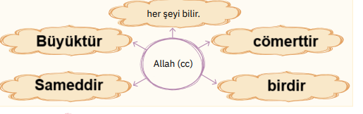 4. Sınıf Din Kültürü Ders Kitabı Sayfa 14 Cevapları SDR İpekyolu Yayıncılık