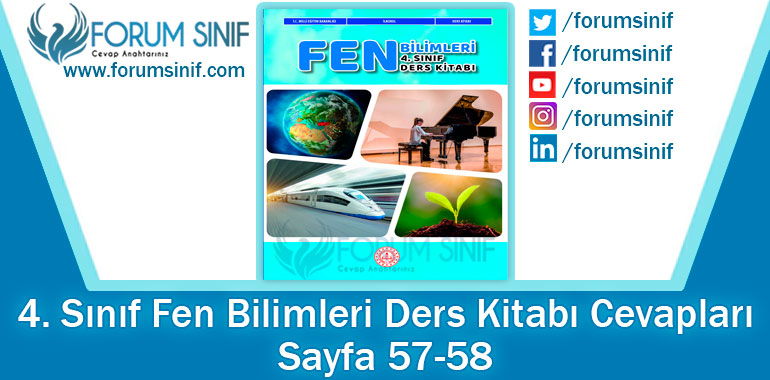 4. Sınıf Fen Bilimleri Ders Kitabı 57-58. Sayfa Cevapları MEB Yayınları