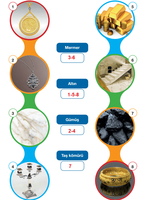 4. Sınıf Fen Bilimleri Ders Kitabı Sayfa 38 Cevapları Pasifik Yayıncılık