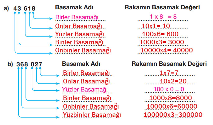 4. Sınıf Matematik Ders Kitabı Sayfa 29 Cevapları Pasifik Yayınları