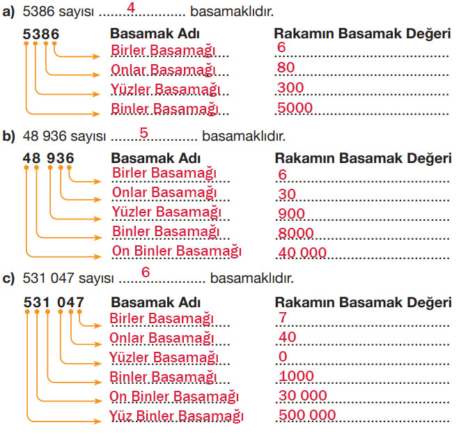 4. Sınıf Matematik Ders Kitabı Sayfa 58 Cevapları Pasifik Yayınları