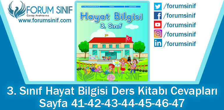 3. Sınıf Hayat Bilgisi Ders Kitabı Sayfa 41-42-43-44-45-46-47. Cevapları MEB Yayınları