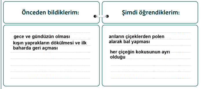 5. Sınıf Din Kültürü Ders Kitabı Sayfa 22 Cevapları MEB 2