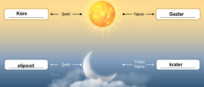 5. Sınıf Fen Bilimleri Ders Kitabı Sayfa 18 Cevapları MEB Yayınları