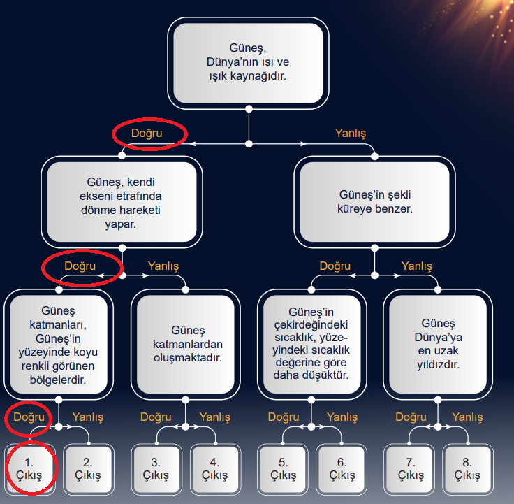 5. Sınıf Fen Bilimleri Ders Kitabı Sayfa 25 Cevapları MEB Yayınları