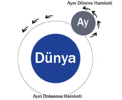 5.-Sinif-Fen-Bilimleri-Ders-Kitabi-Sayfa-29-Cevaplari-MEB-Yayinlari