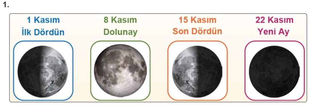 5.-Sinif-Fen-Bilimleri-Ders-Kitabi-Sayfa-40-Cevaplari-MEB-Yayinlari