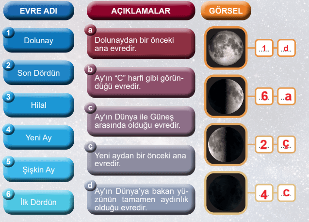 5. Sınıf Fen Bilimleri Ders Kitabı Sayfa 43 Cevapları MEB Yayınları