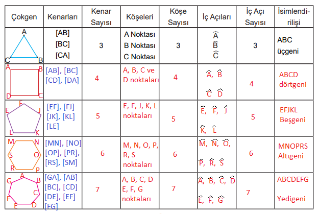 5. Sınıf Matematik Ders Kitabı Sayfa 64 Cevapları MEB Yayınları