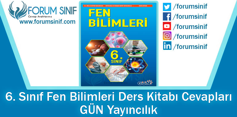 6. Sınıf Fen Bilimleri Ders Kitabı Cevapları GÜN Yayıncılık