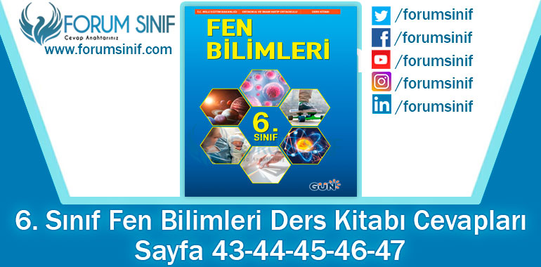 6. Sınıf Fen Bilimleri Ders Kitabı Sayfa 43-44-45-46-47. Cevapları GÜN Yayıncılık