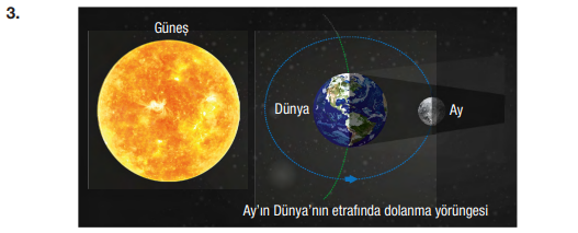 6. Sınıf Fen Bilimleri Ders Kitabı Sayfa 44 Cevapları Gün Yayınları