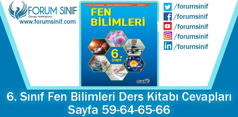 6. Sınıf Fen Bilimleri Ders Kitabı Sayfa 59-64-65-66. Cevapları GÜN Yayıncılık