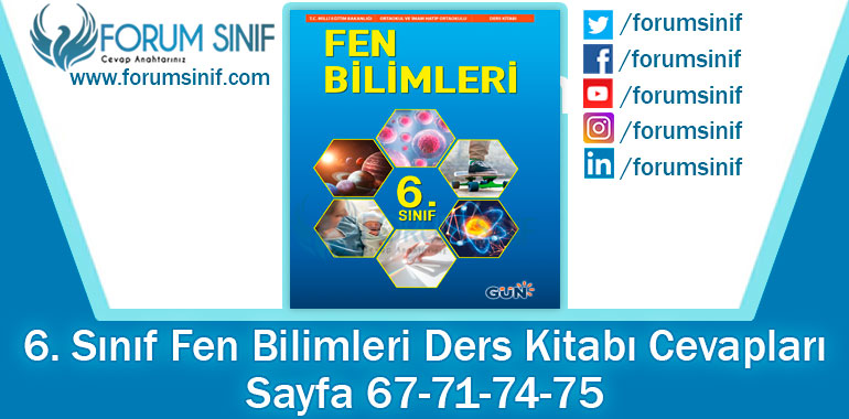 6. Sınıf Fen Bilimleri Ders Kitabı Sayfa 67-71-74-75. Cevapları GÜN Yayıncılık