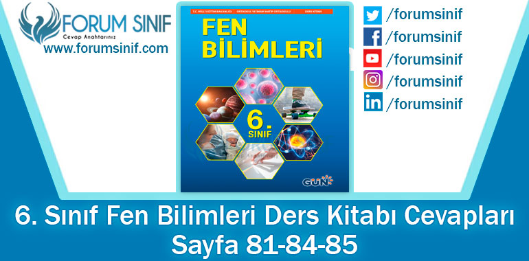 6. Sınıf Fen Bilimleri Ders Kitabı Sayfa 81-84-85. Cevapları GÜN Yayıncılık