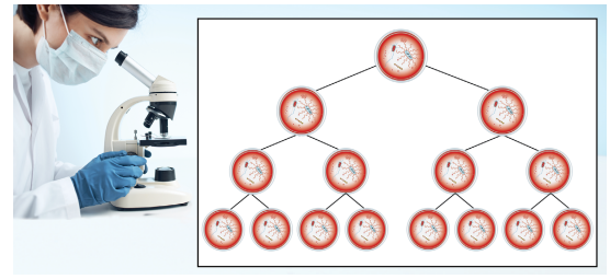 6. Sınıf Matematik Ders Kitabı Sayfa 12 Cevapları Doğa Yayıncılık