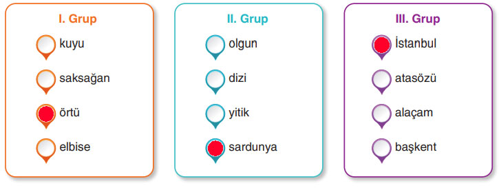 6. Sınıf Türkçe Ders Kitabı Sayfa 55 Cevapları Yıldırım Yayınları