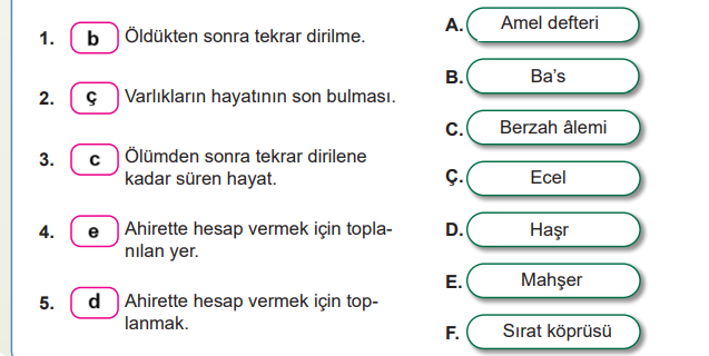 7. Sınıf Din Kültürü Ders Kitabı Sayfa 24 Cevapları MEB Yayınları