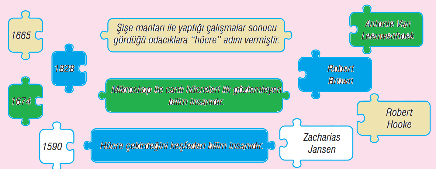 7. Sınıf Fen Bilimleri Ders Kitabı Sayfa 53 Cevapları MEB Yayınları