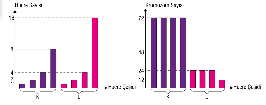 7. Sınıf Fen Bilimleri Ders Kitabı Sayfa 70 Cevapları MEB Yayınları