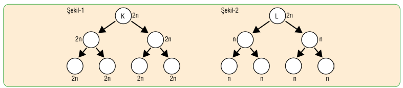 7. Sınıf Fen Bilimleri Ders Kitabı Sayfa 71 Cevapları MEB Yayınları