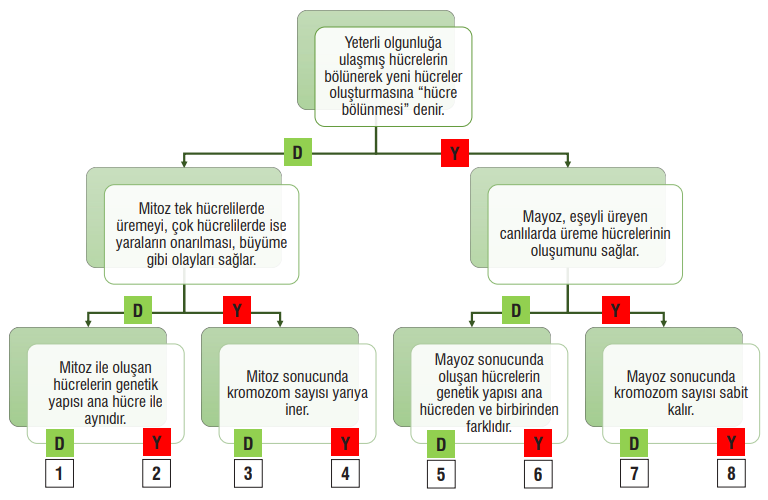 7. Sınıf Fen Bilimleri Ders Kitabı Sayfa 72 Cevapları MEB Yayınları2