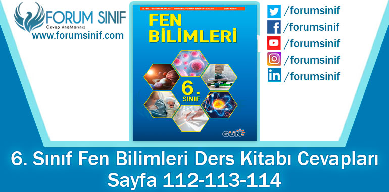 6. Sınıf Fen Bilimleri Ders Kitabı Sayfa 112-113-114. Cevapları GÜN Yayıncılık