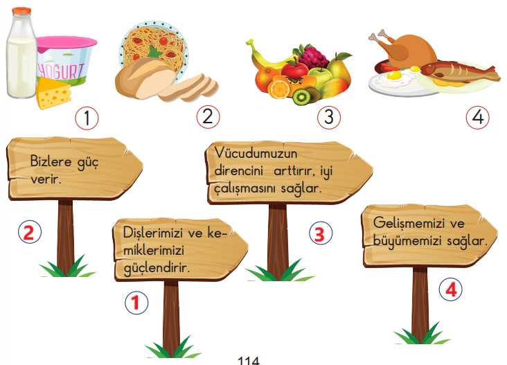 2. Sınıf Hayat Bilgisi Ders Kitabı Sayfa 114 Cevapları MEB Yayınları