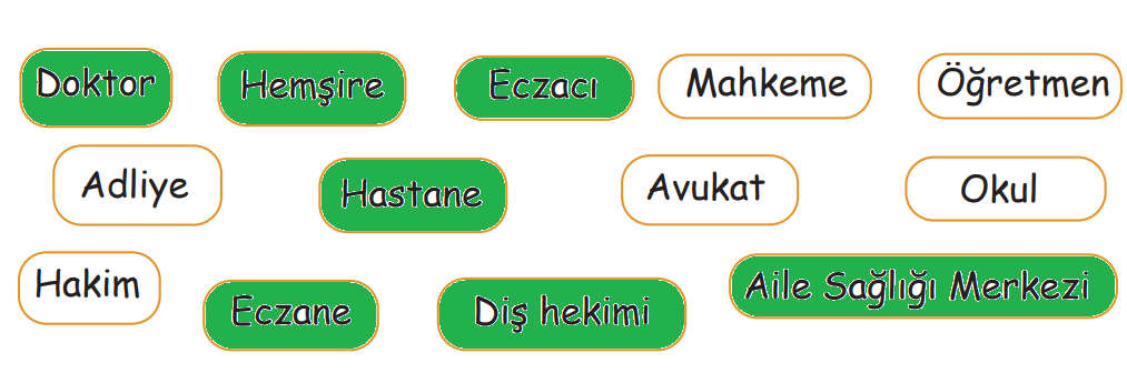 2. Sınıf Hayat Bilgisi Ders Kitabı Sayfa 137 Cevapları MEB Yayınları