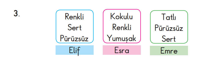 3. Sınıf Fen Bilimleri Ders Kitabı Sayfa 104 Cevapları SDR Dikey Yayıncılık